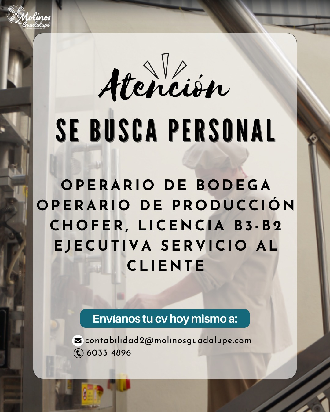 Molinos de Guadalupe busca operario de bodega, de producción, chofer licencia b3-b2 y ejecutiva de servicio al cliente
